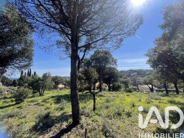 Sainte Maxime Vente Terrain 83