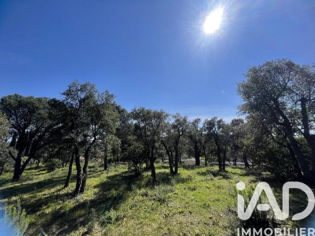 Sainte Maxime Vente Terrain 83