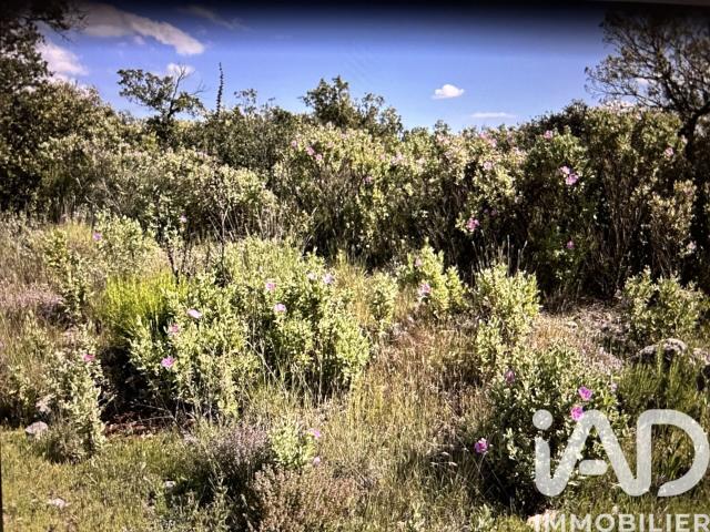 Sainte Maxime Vente Terrain 83