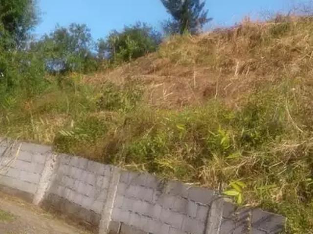 Sainte Marie 97438 Achat / Vente terrain