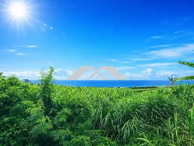Sainte Marie 97438 Achat / Vente terrain
