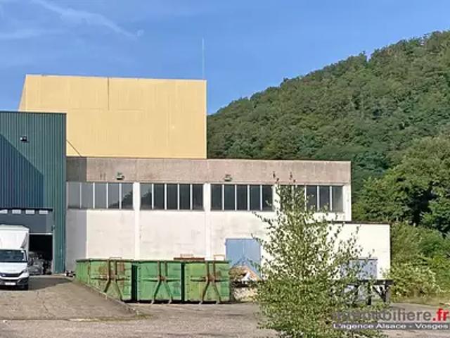 Sainte Marie aux Mines 68160 Achat / Vente divers