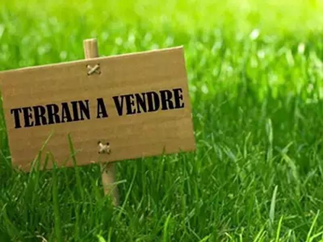 Sainte Marie de Ré 17740 Achat / Vente terrain