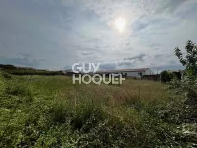 Sainte Marie de Ré 17740 Achat / Vente terrain
