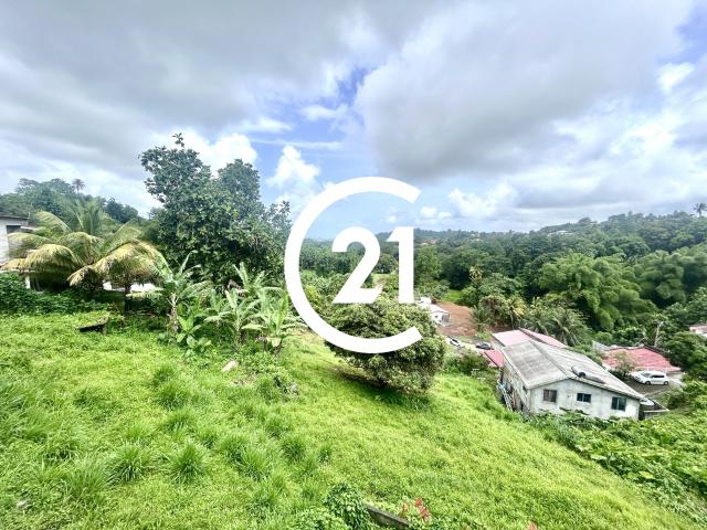 Sainte Marie Location Appartement 97