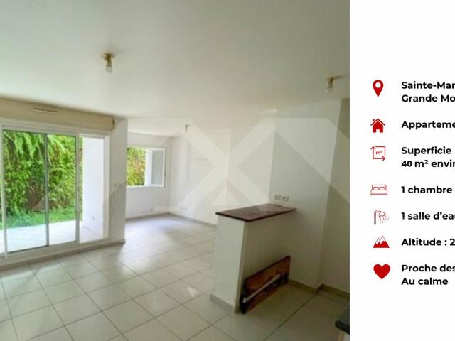 Sainte Marie Vente Appartement 97
