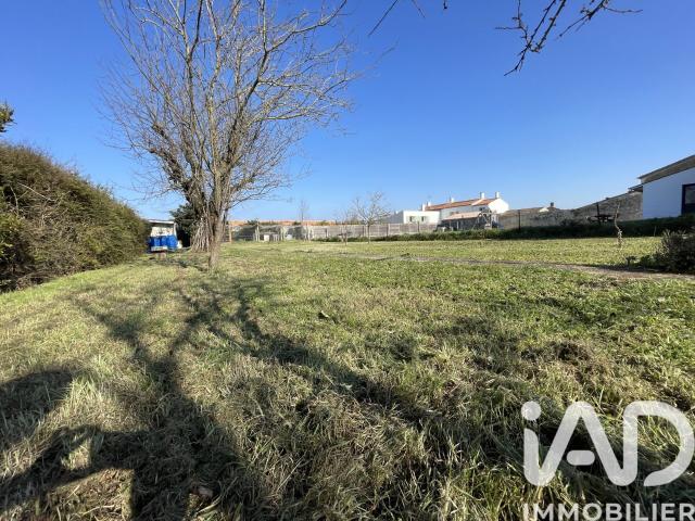 Sainte Soulle Vente Terrain 17