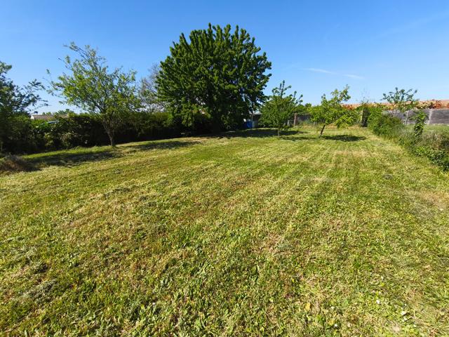 Sainte Soulle Vente Terrain 17