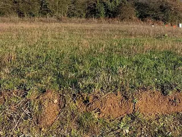Sainte Pazanne 44680 Programme neuf terrain neuf à vendre