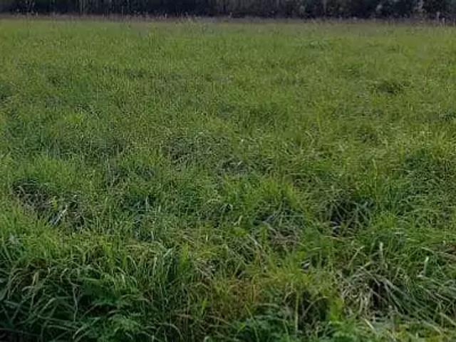 Sainte Pazanne 44680 Programme neuf terrain neuf à vendre
