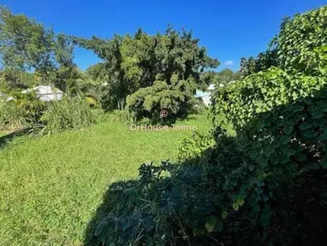 Sainte Rose 97115 Achat / Vente maison 5 pièces t5 terrasse