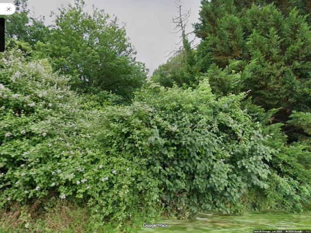 Sainte Radegonde Vente Maison 33