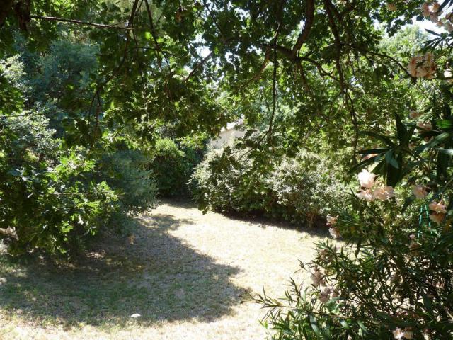 Sainte Tulle Vente Terrain 04