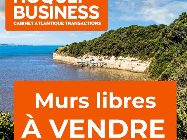 Saintes Vente Immeuble 17