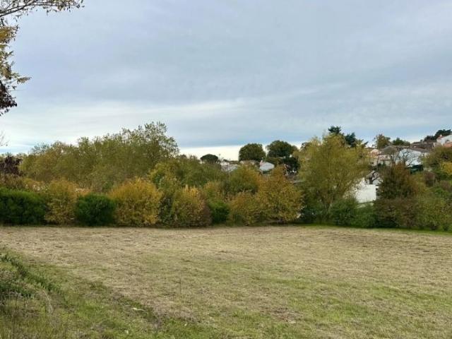 Saintes Vente Terrain 17