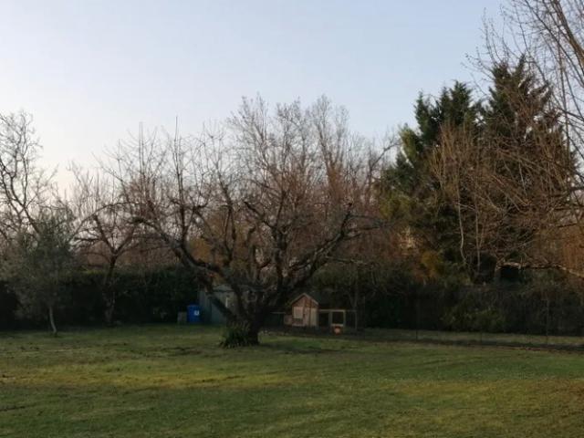 Saintes Vente Terrain 17