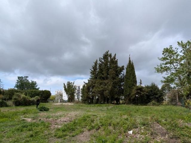 Saintes Vente Terrain 17