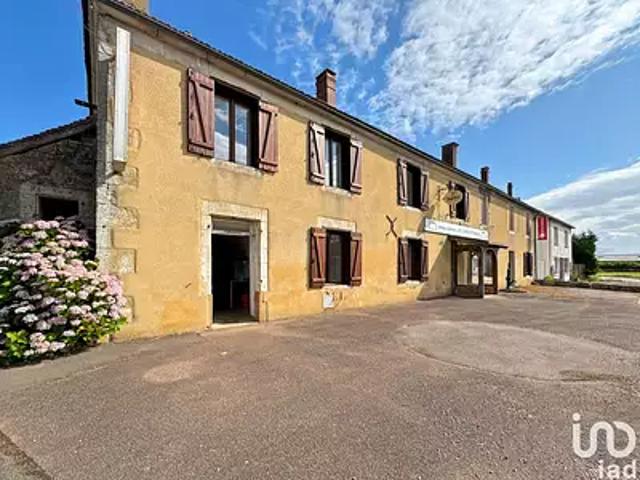 Saints en Puisaye 89520 Achat / Vente divers