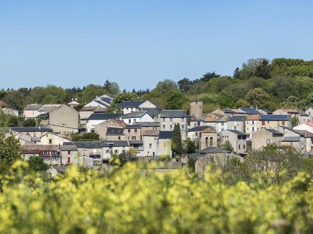 Saissac Vente Terrain 11