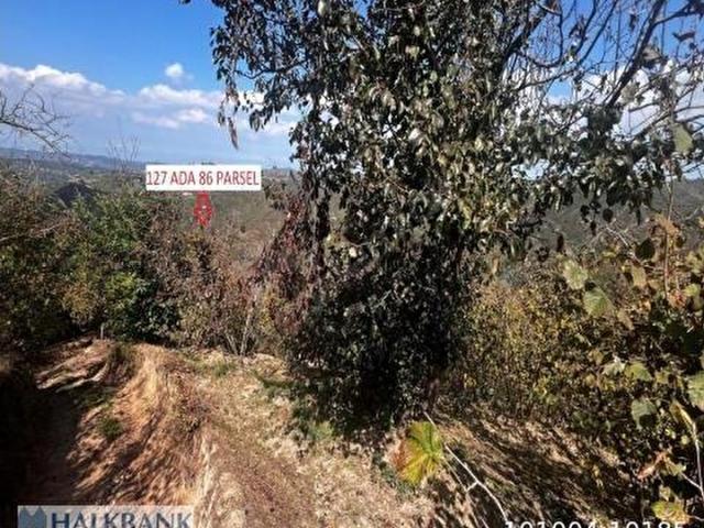 Sakarya Karasu Satılık Arsa