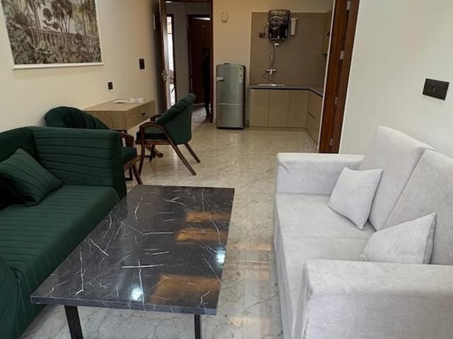 Saket 1 Bedroom 650 Sq. Ft. Apartment in Saket Delhi Listing ID: #10187