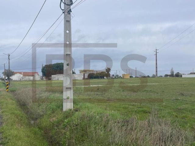 Salvaterra de Magos Santarém 102934664