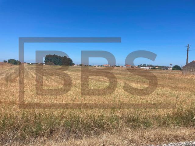 Salvaterra de Magos Santarém 104438290