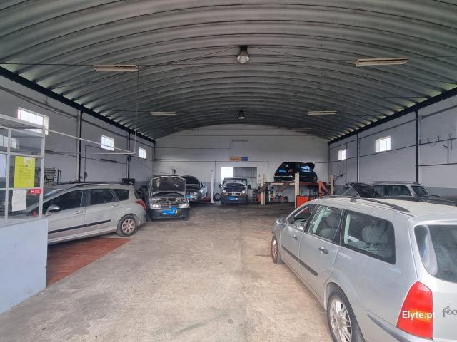 Salvaterra de Magos Santarém 2120 046 LS85256823