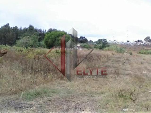 Salvaterra de Magos Santarém 2125 000 LS82380796