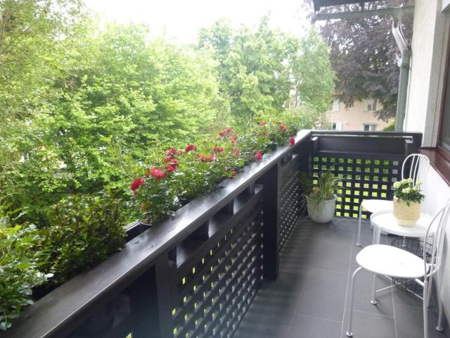Salzburg Riedenburg: Oase der Ruhe 33,64 qm Garconniere mit 5 qm Balkon, sonnig, inklusive Tiefgarage