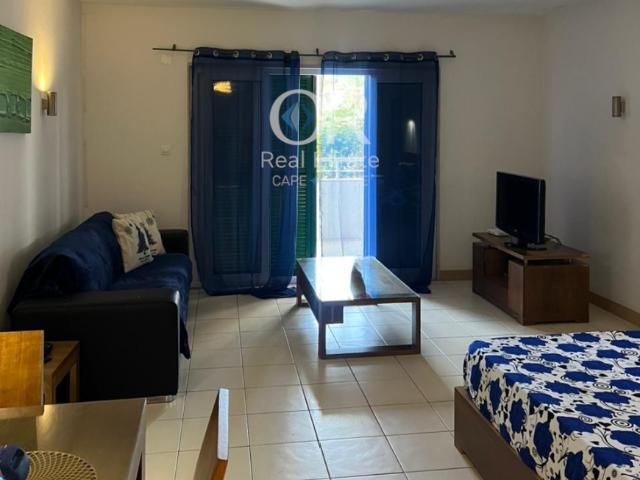Sal Ilha do Sal 99450232