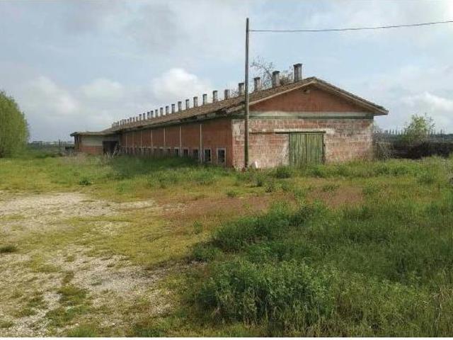 SALA CONVEGNI in VENDITA a ERACLEA Eraclea