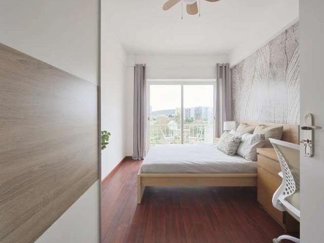 Sala 3 R.Dom Luis Noronha 6 7