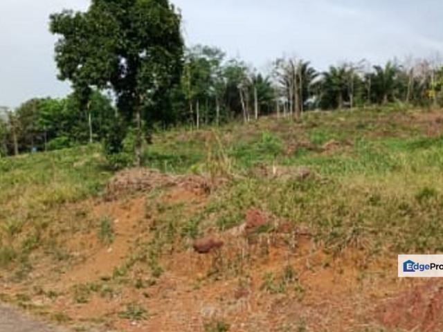 Salak Tinggi, Selangor