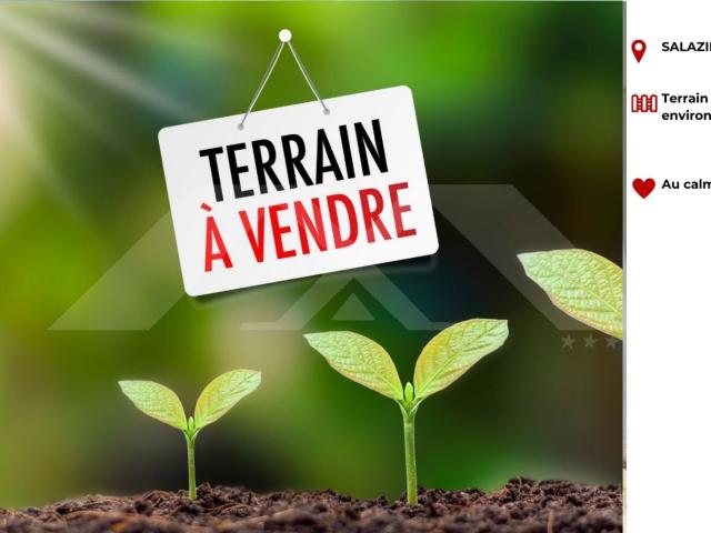 Salazie Vente Terrain 97