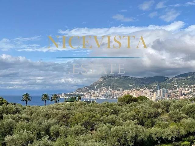 Vente Appartement Roquebrune Cap Martin 4 200 000 €