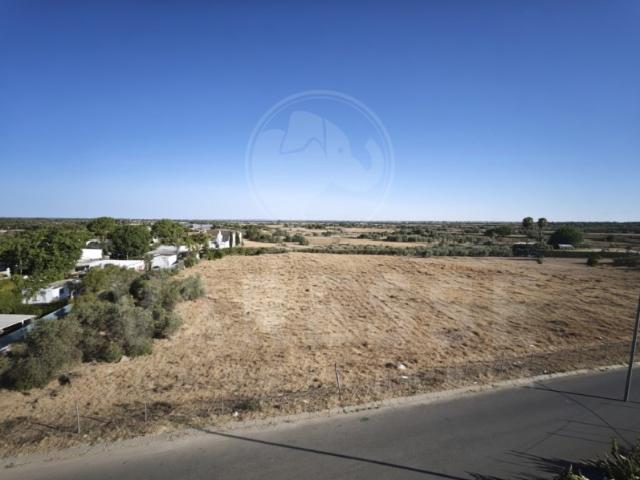 Sale Land Divisions Espartinas