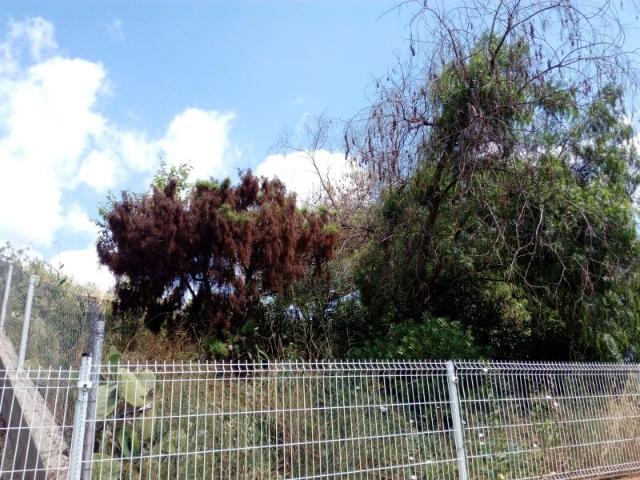 Sale Plot Cabrera d'Anoia