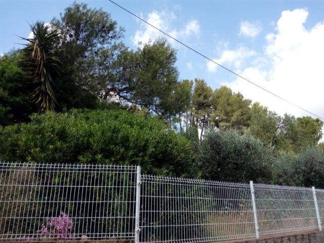 Sale Plot Cabrera d'Anoia