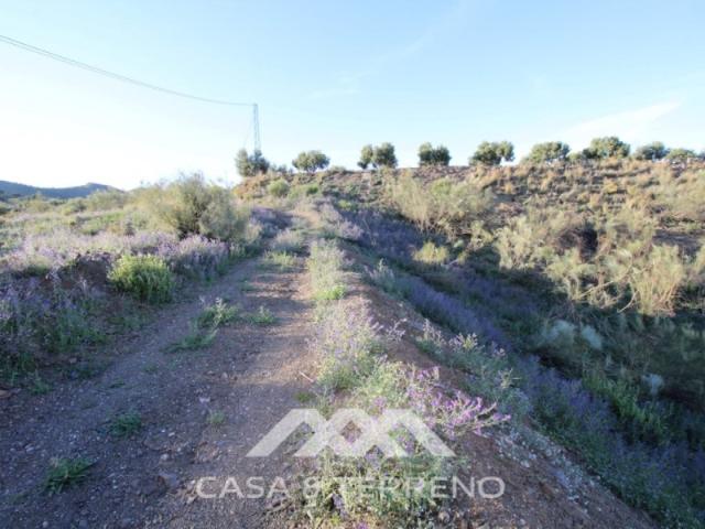 Sale Rural Land Vélez Málaga