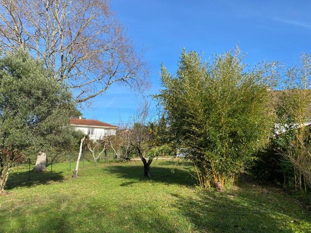 Salies de Béarn Vente Terrain 64