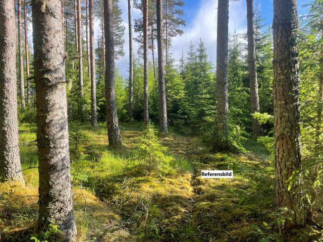 Sälje 1:85