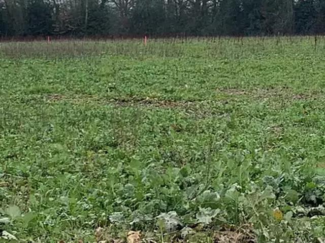 Sallertaine 85300 Programme neuf terrain neuf à vendre