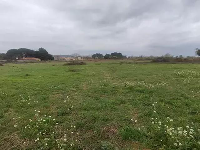 Salles d'Aude 11110 Programme neuf terrain neuf à vendre