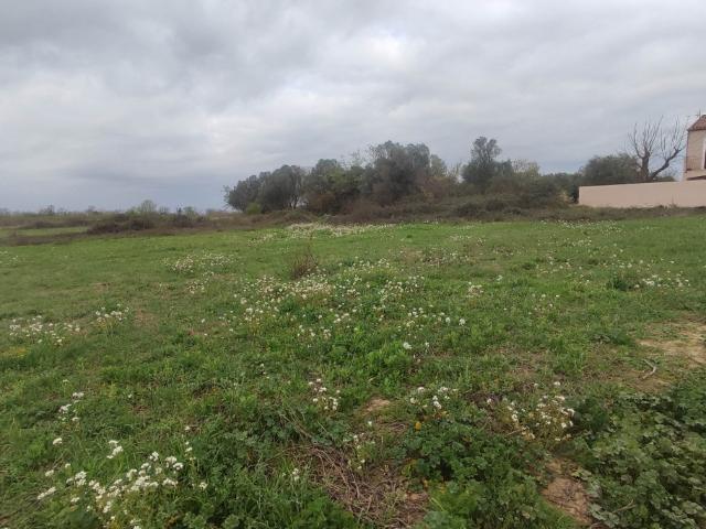 Salles d'Aude Vente Terrain 11