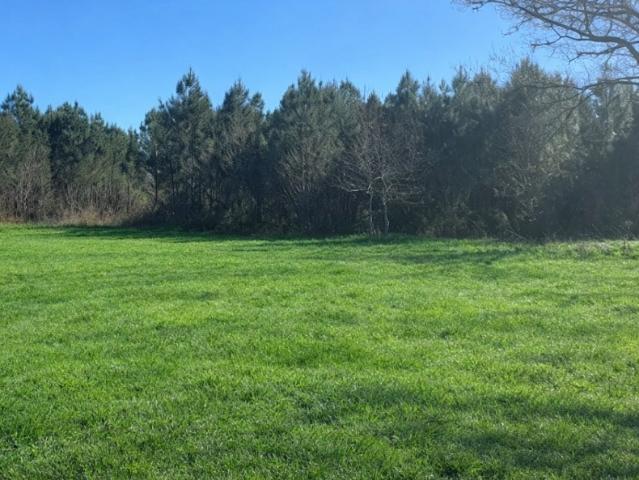 Salles Vente Terrain 33
