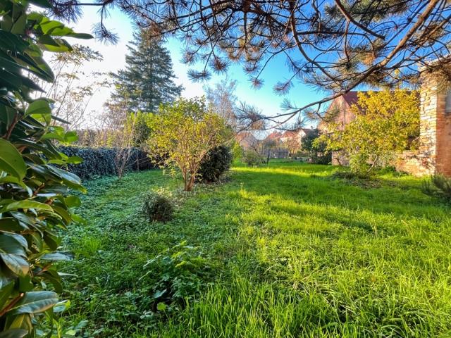 Salornay sur Guye Vente Maison 71