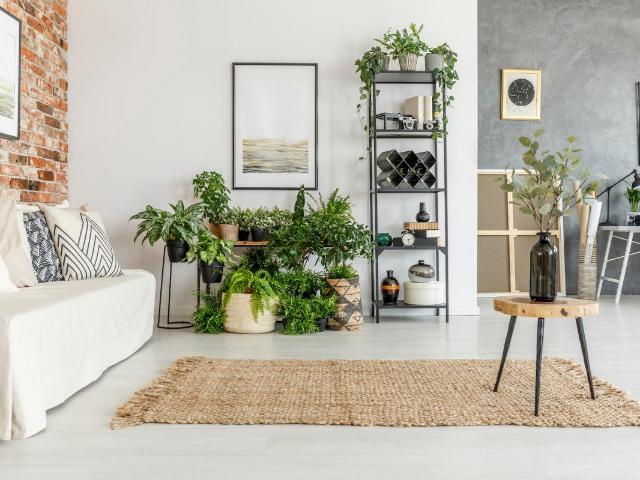 Sartrouville Vente Appartement 78
