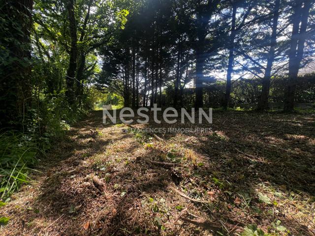 Sarzeau Vente Terrain 56