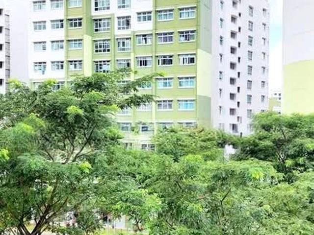 Saraca Breeze @ Yishun. HDB 3 Rooms